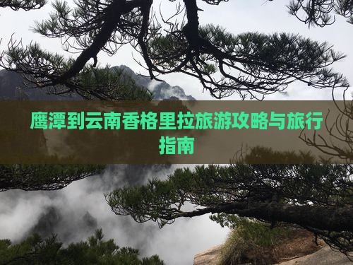 鹰潭到云南香格里拉旅行社
