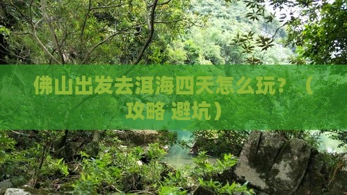 佛山到云南洱海四日游