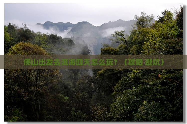 佛山到云南洱海四日游