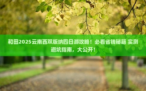 和田去云南西双版纳四日游