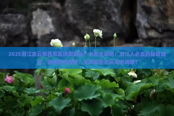潜江去云南西双版纳哪里玩