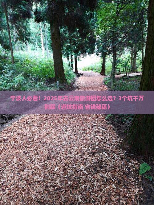 宁波去云南大型旅游团