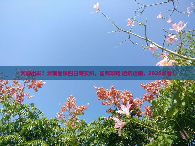 河源去云南温泉四日游