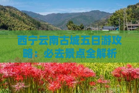 西宁去云南古城五日游