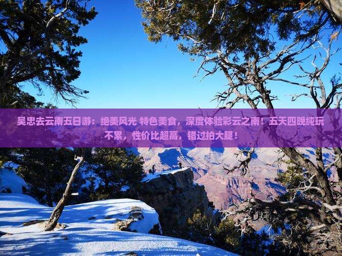 吴忠去云南五日游