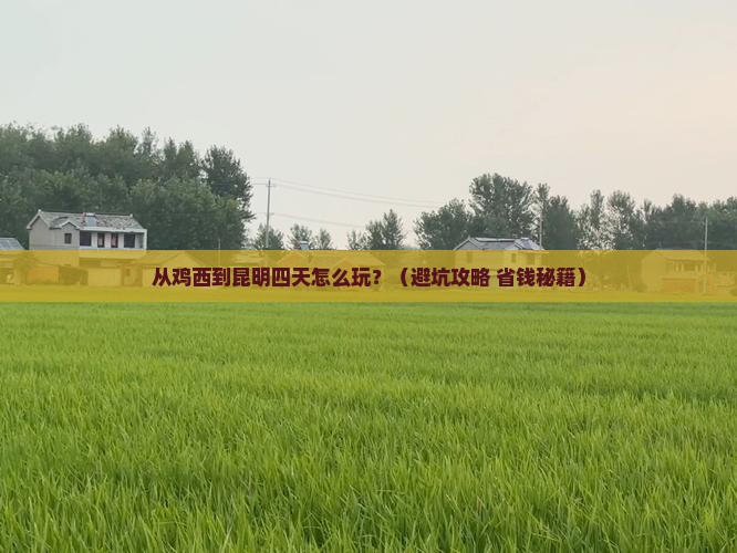 鸡西到云南昆明四日游