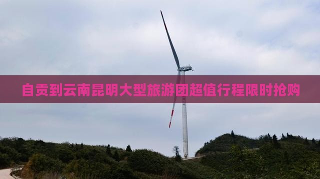 自贡到云南昆明大型旅游团