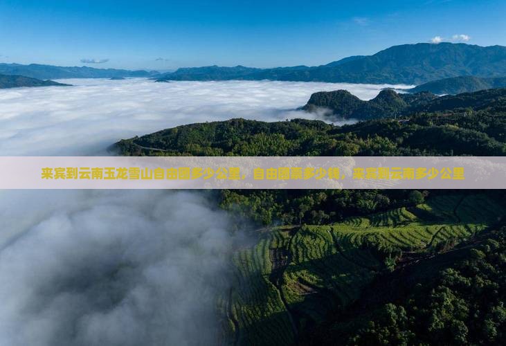 来宾到云南玉龙雪山自由团