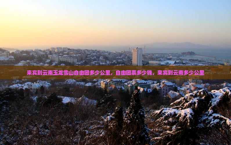 来宾到云南玉龙雪山自由团