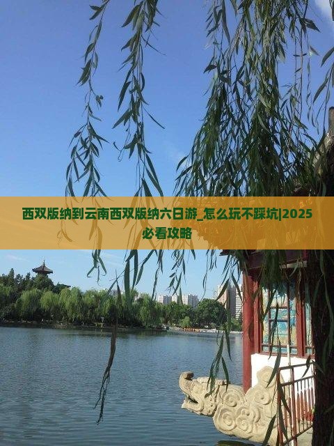 西双版纳到云南西双版纳六日游 西双版纳到云南西双版纳六日游
