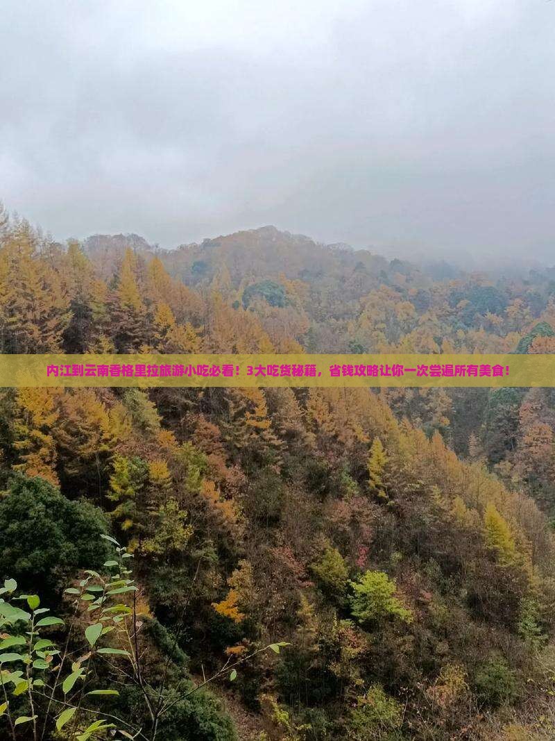 内江到云南香格里拉旅游小吃