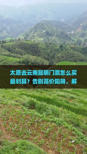 太原去云南昆明门票