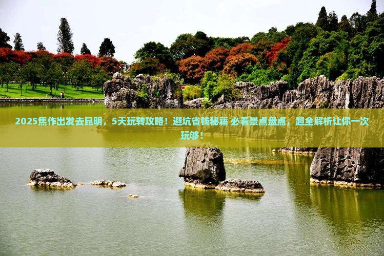 焦作到云南昆明哪里玩