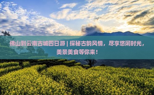 佛山到云南古城四日游