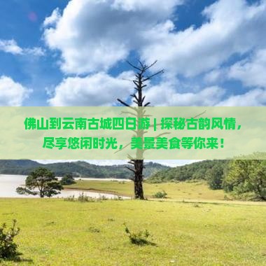佛山到云南古城四日游