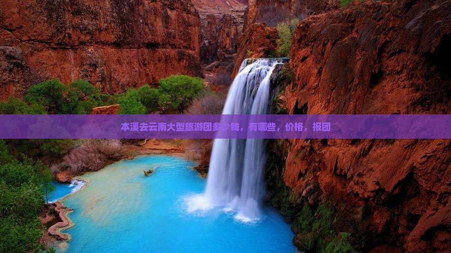 本溪去云南大型旅游团