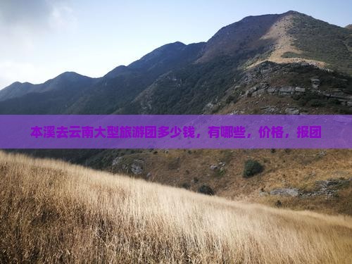 本溪去云南大型旅游团