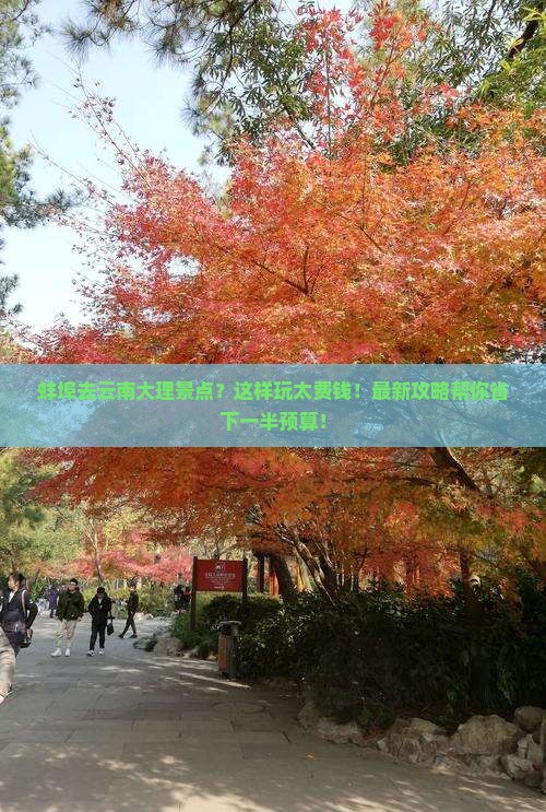 蚌埠去云南大理景点