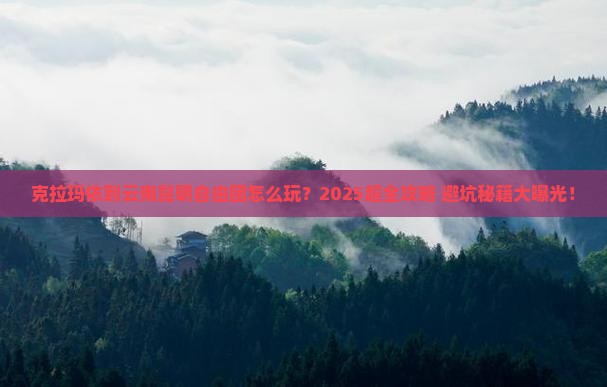 克拉玛依到云南昆明自由团