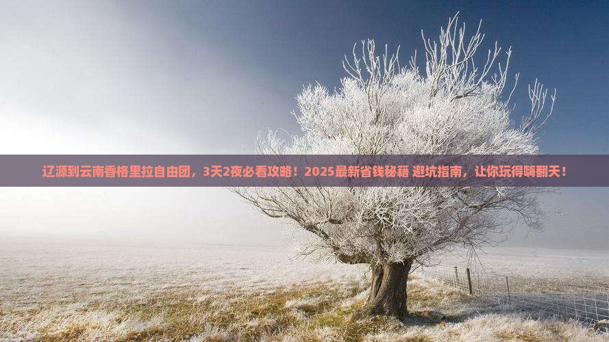 辽源到云南香格里拉自由团