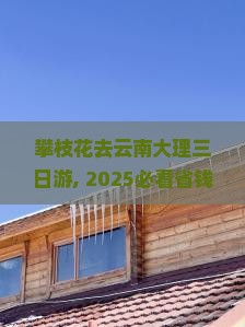 攀枝花去云南大理三日游