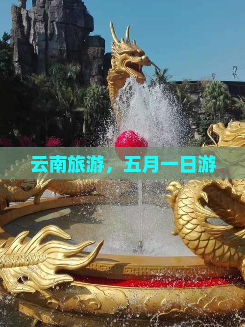 五月去云南一日