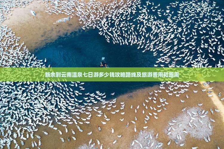 新余到云南温泉七日游