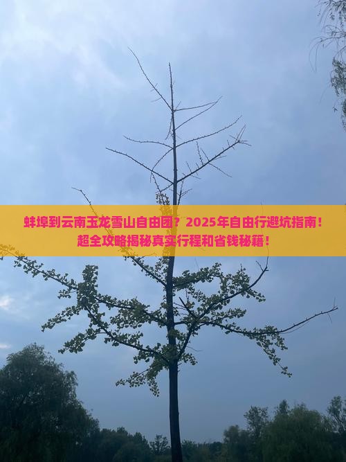 蚌埠到云南玉龙雪山自由团