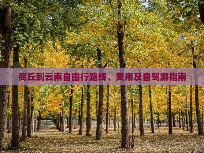 商丘到云南自由行