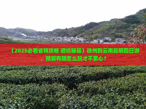徐州到云南昆明四日游
