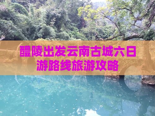 醴陵到云南古城六日游