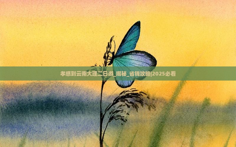 孝感到云南大理二日游