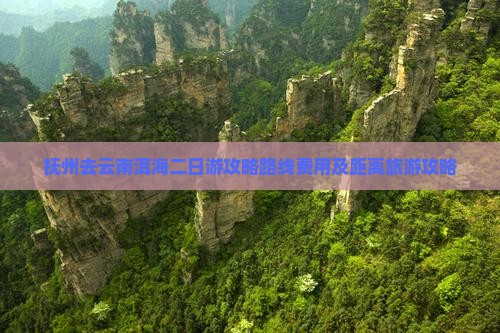 抚州去云南洱海二日游