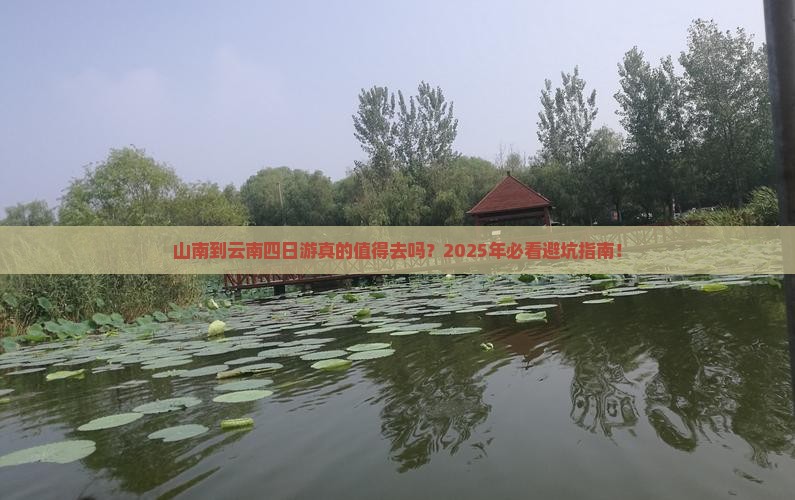 山南到云南四日游