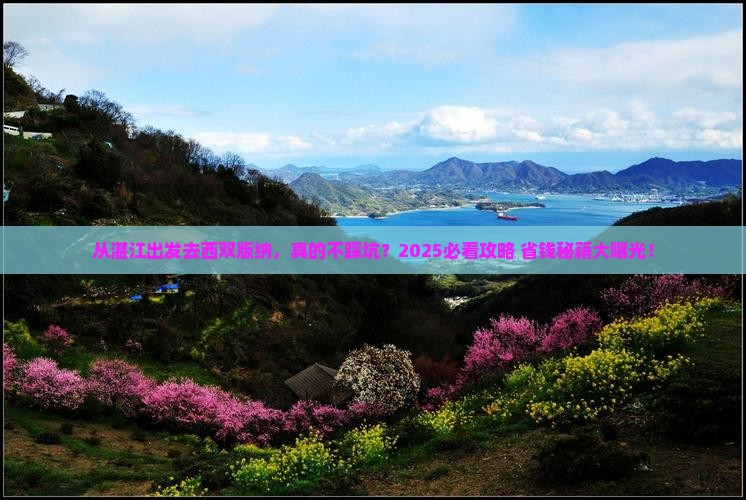 湛江到云南西双版纳旅游