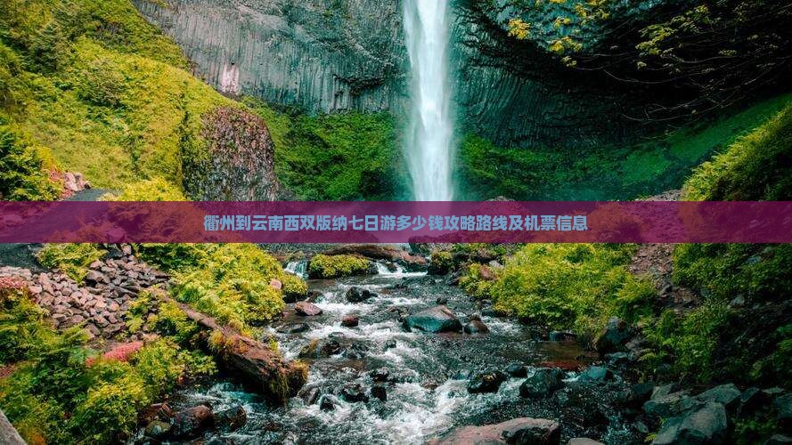 衢州到云南西双版纳七日游