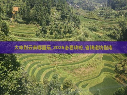 大丰到云南哪里玩