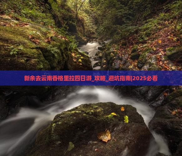 新余去云南香格里拉四日游