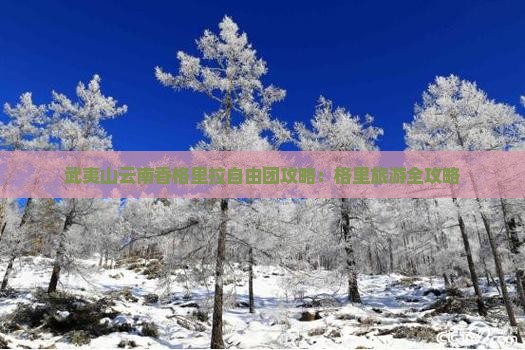 武夷山到云南香格里拉自由团