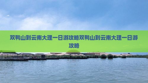 双鸭山到云南大理一日