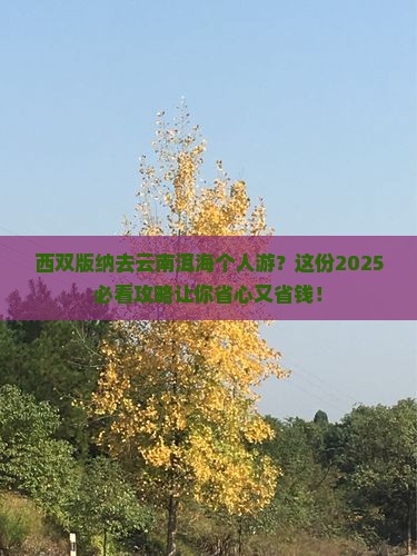 西双版纳去云南洱海个人游