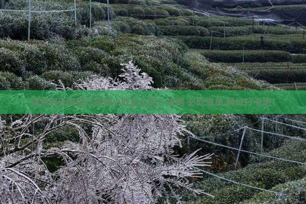 锦州到云南丽江旅游小吃