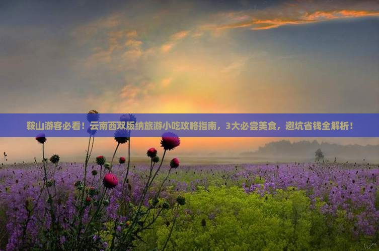 鞍山去云南西双版纳旅游小吃