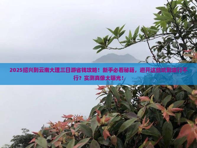 绍兴到云南大理三日游
