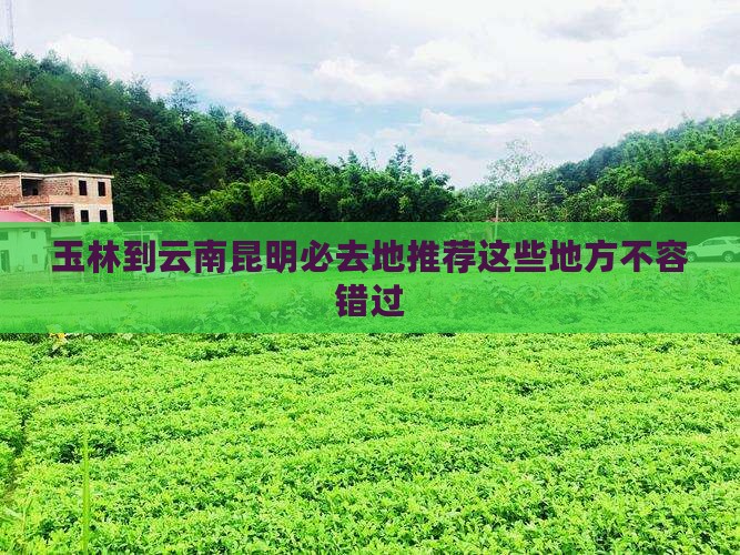 玉林到云南昆明必去地