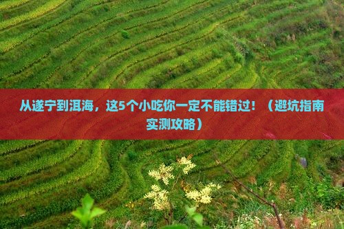 遂宁到云南洱海旅游小吃
