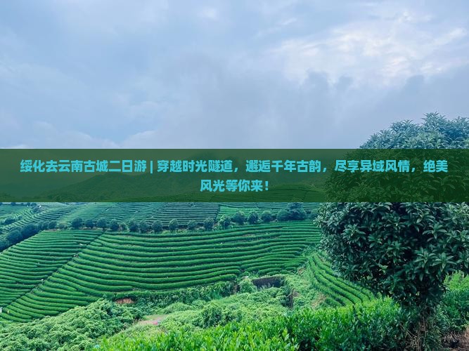 绥化去云南古城二日游