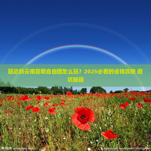 延边到云南昆明自由团