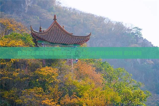 延边到云南昆明自由团