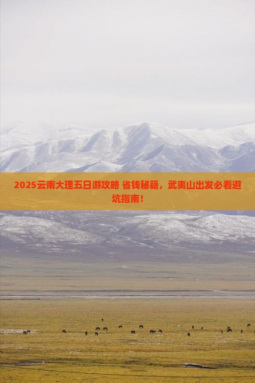 武夷山去云南大理五日游